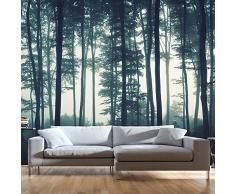 murando - Fototapete Wald 400x280 cm - Vlies Tapete - Moderne Wanddeko - Design Tapete - Wandtapete - Wand Dekoration - Wald Natur Nebel c-B-0223-a-a