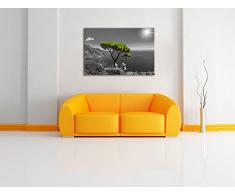 Mediteraner Baum am Mittelmeer schwarz/weiß Format: 80x60 auf Leinwand, XXL riesige Bilder fertig gerahmt mit Keilrahmen, Kunstdruck auf Wandbild mit Rahmen, günstiger als Gemälde oder Ölbild, kein Poster oder Plakat