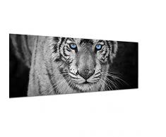 Panoramabild auf Leinwand und Keilrahmen 150x50cm Tiger Wildkatze Nahaufnahme schwarz/weiÃ