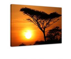 Kunstdruck - Akazienbaum im Sonnenuntergang, Tanzania Serengeti Afrika - Bild auf Leinwand - 80x60 cm - Leinwandbilder - Landschaften - Savanne - Silhouette - Tropen - tropisch