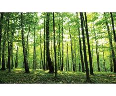 Fototapete Vliestapete Wanddeko Grüner Wald Baum Grün Sonnenstrahlen Blatt Moderne Wanddekoration Wandbild 186V8 368cm x 254cm