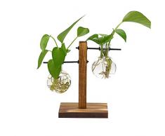Magiin Deko Holz Halter mit Hydroponik Hängevase Glasvase Blumenvase Tischvase Dekovase Holz Halter (B)