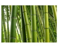 Fenster Wandbild Bamboo Trees No. 1 Fenster Aufkleber Fensterfolie Fenster Tattoo Glas Aufkleber Fenster Kunst Fenster Décor Fenster Dekoration, Maße: 72 cm x 108 cm