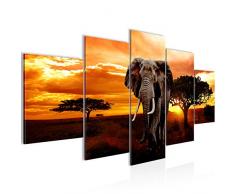 Bilder Afrika Elefant Wandbild Vlies - Leinwand Bild XXL Format Wandbilder Wohnzimmer Wohnung Deko Kunstdrucke Orang 5 Teilig - MADE IN GERMANY - Fertig zum Aufhängen 001253a