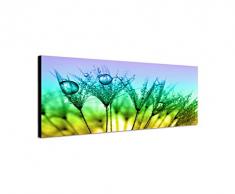 Panoramabild auf Leinwand und Keilrahmen 150x50cm Pusteblumen LÃ¶wenzahn Wassertropfen