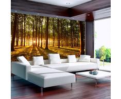 Vlies Fototapete 250x175 cm - 3 Farben zur Auswahl - Top - Tapete - Wandbilder XXL - Wandbild - Bild - Fototapeten - Tapeten - Wandtapete - Wand Wald Sonnenschein Bäume Natur Landschaft c-B-0027-a-c
