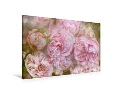 Premium Textil-Leinwand 90 x 60 cm Quer-Format Verlangen - Rosen Romantik | Wandbild, HD-Bild auf Keilrahmen, Fertigbild auf hochwertigem Vlies, Leinwanddruck von Martina Cross