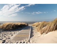 murimage Fototapete Meer 366cm x 254cm inklusive Kleister Meer Strand Sonne Dünen Steg Ocean Way Weg Ostsee Nordsee Tapete