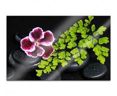 Acrylglasbilder 80x50cm Wellness Feng Shui Steine Orchidee Blume Blätter Spa Acryl Bilder Acrylbild Acrylglas Wand Bild 14H980