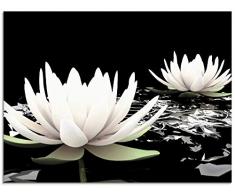 Artland Glasbilder Wandbild Glas Bild einteilig 80x60 cm Querformat Asien Botanik Blumen Blüten Lotusblume Seerose Modern Schwarz Weiß T9NL