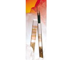 Shoyeido Japanische Räucherstäbchen, Nokiba/Moss Garden, 35 Stück.