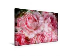 Premium Textil-Leinwand 45 x 30 cm Quer-Format Sinnlichkeit - Rosen Romantik | Wandbild, HD-Bild auf Keilrahmen, Fertigbild auf hochwertigem Vlies, Leinwanddruck von Martina Cross