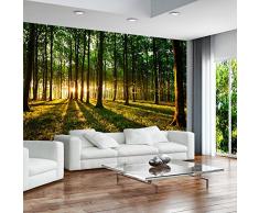 murando - Fototapete Wald 300x210 cm - Vlies Tapete - Moderne Wanddeko - Design Tapete - Wandtapete - Wand Dekoration - Sonnenschein Bäume Natur Landschaft c-B-0027-a-b