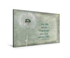 Calvendo Premium Textil-Leinwand 90 cm x 60 cm quer, Jedes Alter hat Seine Reize | Wandbild, Bild auf Keilrahmen, Fertigbild auf echter Leinwand, Leinwanddruck: Fotografie und Zitat Wissen Wissen