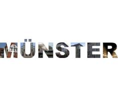 INDIGOS UG - WANDTATTOO / Wandsticker / Wandaufkleber / Aufkleber - W572 mehrfarbige Wandschrift Münster 120x20 cm