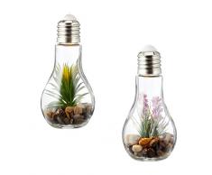 2er Set Sukkulenten LED Glühbirne Glas B x H: 8x19cm Deko Lampe Kunstpflanze Grün Hängelampe Tischdeko