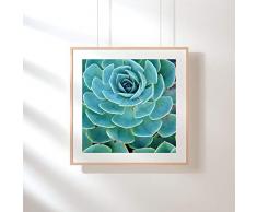 Fotografie Print Kunstdruck 12x12cm Sukkulente türkis Quadrat