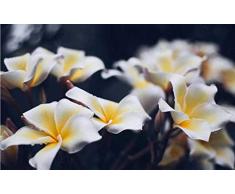 JFZJFZ Malen nach Zahlen für Erwachsene und Kinder DIY Ölgemälde Geschenksets Pflanzen Landschaft Meer Plumeria Blume Thailand Bali Asien 40x50cm