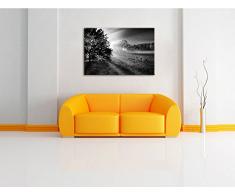 schöne Lichtung im Wald schwarz/weiß Format: 120x80 auf Leinwand, XXL riesige Bilder fertig gerahmt mit Keilrahmen, Kunstdruck auf Wandbild mit Rahmen, günstiger als Gemälde oder Ölbild, kein Poster oder Plakat