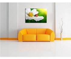 Marienkäfer auf einer weißen Blume, Format: 60x40 auf Leinwand, XXL riesige Bilder fertig gerahmt mit Keilrahmen, Kunstdruck auf Wandbild mit Rahmen, günstiger als Gemälde oder Ölbild, kein Poster oder Plakat