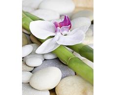 Artland Qualitätsbilder I Wandtattoo Wandsticker Wandaufkleber 30 x 40 cm Wellness Zen Pflanze Foto Weiß B9YY Zen Orchidee
