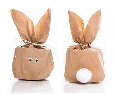 5 Osterhasen-Beutel (vorgeschnitten) mit Dekoband, Wackelaugen und weißer Hasen-Blume (Puschel) - Tütengröße 16,5 x 26 x 6,6 cm