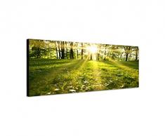 Panoramabild auf Leinwand und Keilrahmen 150x50cm Wald Wiese FrÃ¼hling Sonnenstrahlen