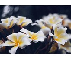 JFZJFZ Malen nach Zahlen für Erwachsene und Kinder DIY Ölgemälde Geschenk-Kits Plumeria Flower Thailand Bali Asien