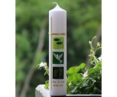 Taufkerze Kommunionkerze Mädchen Jungen mit Name und Datum beschriftet Fisch Kreuz Taube Grün Patenkerzen Taufspruch Kerzengröße wählbar