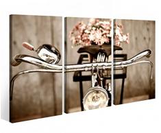 Leinwandbild 3 Tlg. Fahrrad Retro Rad Blume Kunst Leinwand Bild Bilder auf Keilrahmen Holz - fertig gerahmt 9O910, 3 tlg BxH:120x80cm (3Stk 40x 80cm)