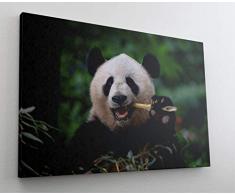 Fotografie Panda Bär Asien Leinwand Canvas Bild Wandbild Kunstdruck L1796 Größe 150 cm x 100 cm
