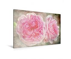 Premium Textil-Leinwand 120 x 80 cm Quer-Format Schwärmerei - Rosen Romantik | Wandbild, HD-Bild auf Keilrahmen, Fertigbild auf hochwertigem Vlies, Leinwanddruck von Martina Cross
