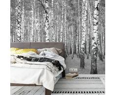 K&L Wall-Art - Fototapete - Vliestapete - Bildtapete - Birkenwald Motiv: 02 - Gesamtgröße: 336 cm Breite x 260 cm Höhe - FT-AL-103-260