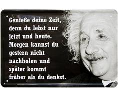 Genieße Deine Zeit, du lebst nur jetzt 20x30 Blechschild 469