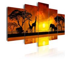 murando - Bilder 200x100 cm - Leinwandbilder - Fertig Aufgespannt - Vlies Leinwand - 5 Teilig - Wandbilder XXL - Kunstdrucke - Wandbild - Afrika Landschaft 030112-68