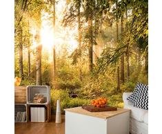 murando - Fototapete Wald 250x175 cm - Vlies Tapete - Moderne Wanddeko - Design Tapete - Wandtapete - Wand Dekoration - Wald Landschaft Natur Sonne Grün Bäume Sonnenuntergang c-C-0032-a-c