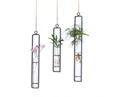 Lala Haken 3 Stück verschiedene Längen Reagenzgläser zum Aufhängen von Glas Pflanzgefäß, Kreative Wand-Blumenvase Eisen Glas Hydrokultur Pflanzgefäß