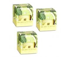 3?St?ck Herz und Home Lime splash Duft Votiv Kerzen