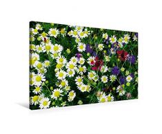Premium Textil-Leinwand 75 x 50 cm Quer-Format Wildkräuter Schönheiten | Wandbild, HD-Bild auf Keilrahmen, Fertigbild auf hochwertigem Vlies, Leinwanddruck von Avianaarts Design Fotografie by Tanja Riedel
