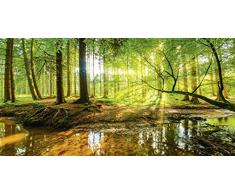 Artland Glasbilder Wandbild Glas Bild 100x50 cm Querformat Natur Herbst Landschaft Wald Bäume Blätter Sonne Bach T9IO