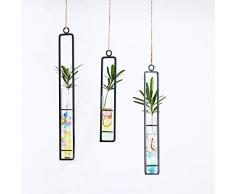 Futaikang 3 Stück Luftpflanzen Hängenden Metall Luft Pflanze Halter Topf Container Dekoration，transparenter Vase, Reagenzglas, Blumendesign, 3 Stück