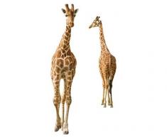 Wandtattoo No.315 Zwei Giraffen Sticker Aufkleber Tier Afrika Flecken Savanne