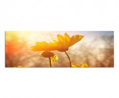 120x40 cm Panorama Wandbild Leinwand Panoramabild Bild(Blume)Bilder Moderne Dekoration zum kleinen Preis! Bild bespannt auf echter Leinwand und Holzkeilrahmen. Made in Germany neu