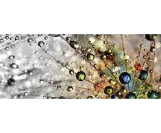 Artland Glasbilder Wandbild Glas Bild einteilig 125x50 cm Querformat Natur Botanik Blumen Pusteblume Frühling Wassertropfen Modern T9IN