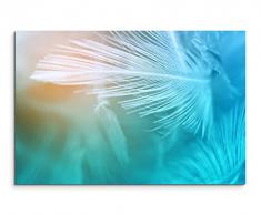 Paul Sinus Art Kunstfoto auf Leinwand 60x40cm Künstlerische Fotografie – Weiße Federn mit Türkisem Hintergrund auf Leinwand Exklusives Wandbild Moderne Fotografie für Ihre Wand in Vielen Größen