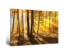 !!! SENSATIONSPREIS !!! ge-Bildet® Leinwandbild mit Neueröffnungsrabatt fast kostenlos Naturbilder Landschaftsbilder beautiful morning in the forest natur blumen wald gelb orange - 30x20 - direkt vom Hersteller aus Deutschland