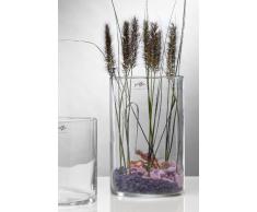 Glasvase CYLI Glas Vase Tischvase Blumenvase Zylinder 30 cm