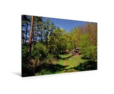Premium Textil-Leinwand 120 x 80 cm Quer-Format Herrlicher Waldweg | Wandbild, HD-Bild auf Keilrahmen, Fertigbild auf hochwertigem Vlies, Leinwanddruck von Arno Klatt