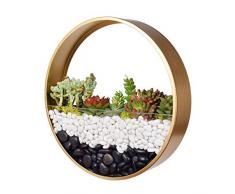 Ecosides Rund Metall Wand Blumentöpfe,Transparent Glas Pflanzgefäße Kunst Wandvase Von Blumen Bonsai Succulents Kräuter Farn Air Plant Töpfe Mit Creative Modern Wand-Dekor Für Office Home Haus Zimmer