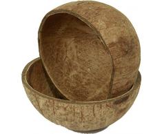 Nature Parts 2er Set Kokosschale Becher, Kokosnuss, Deko Schale, Kokos Nuss Gr. 12-16cm Dekoschale, Holz, 13 x 18 x 9 cm, 2-Einheiten